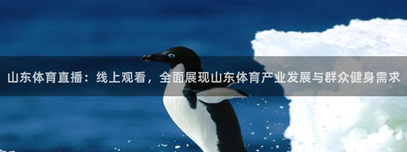 山东体育直播：线上观看，全面展现山东体育产业发展与群众健身需求