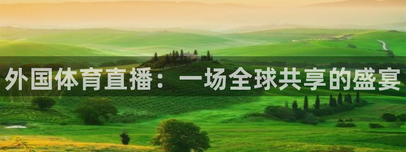 外国体育直播：一场全球共享的盛宴