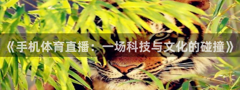 《手机体育直播：一场科技与文化的碰撞》