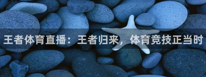 王者体育直播：王者归来，体育竞技正当时