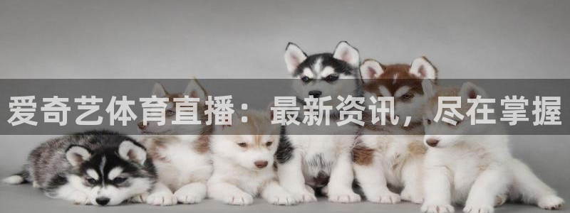 爱奇艺体育直播：最新资讯，尽在掌握