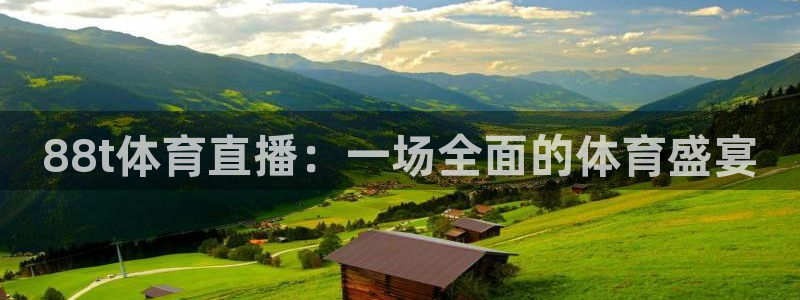 88t体育直播：一场全面的体育盛宴