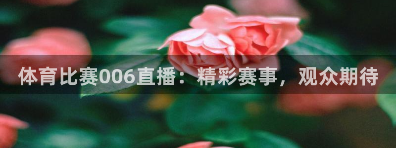 体育比赛006直播：精彩赛事，观众期待