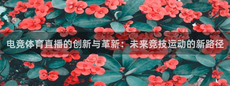 电竞体育直播的创新与革新：未来竞技运动的新路径
