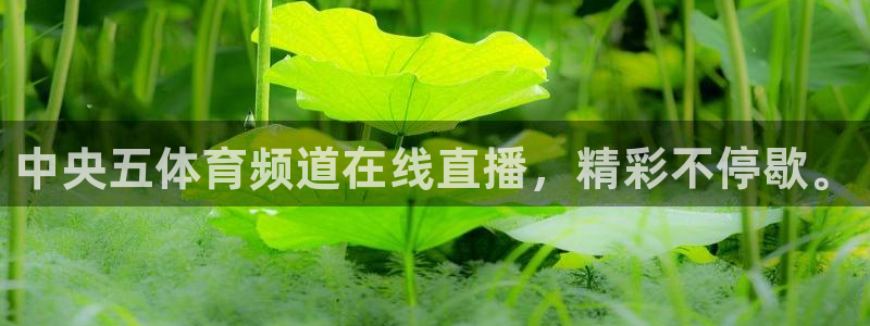 中央五体育频道在线直播，精彩不停歇。