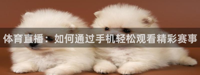 体育直播：如何通过手机轻松观看精彩赛事