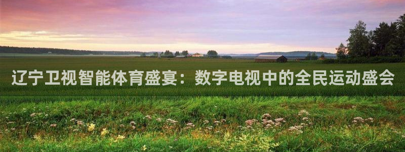 辽宁卫视智能体育盛宴：数字电视中的全民运动盛会