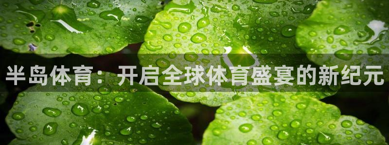 半岛体育：开启全球体育盛宴的新纪元